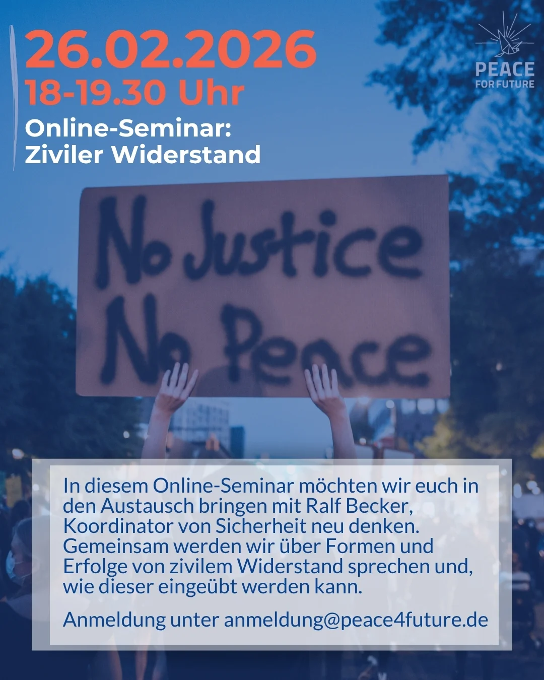 Online-Seminar Friedensfachkräfte im Einsatz (4)